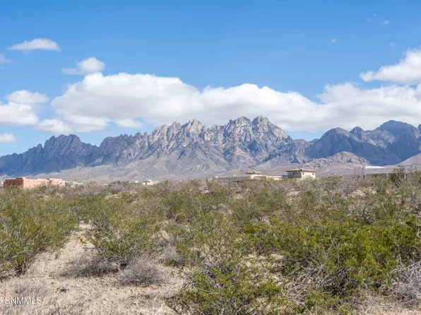7921 Dripping Springs Rd, Las Cruces, NM 88011