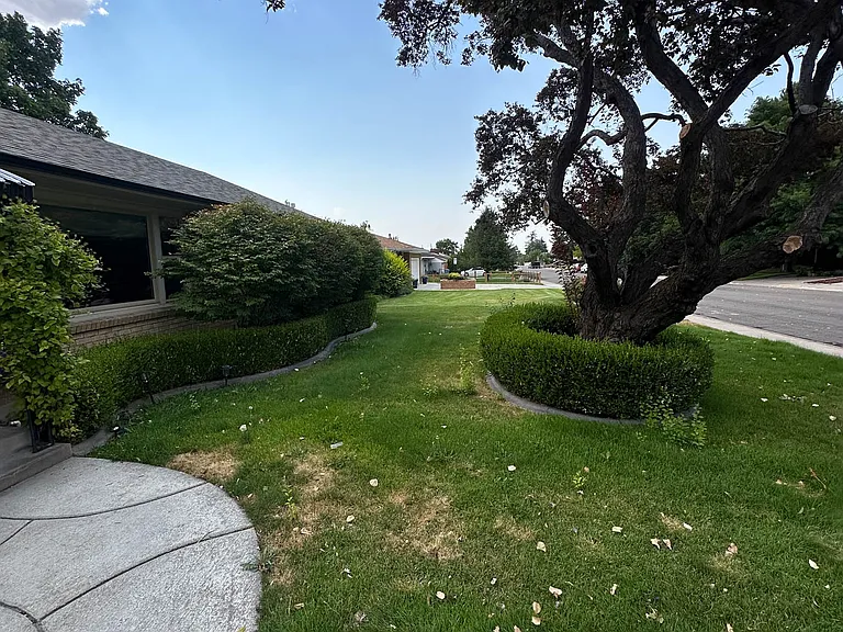 Front Yard