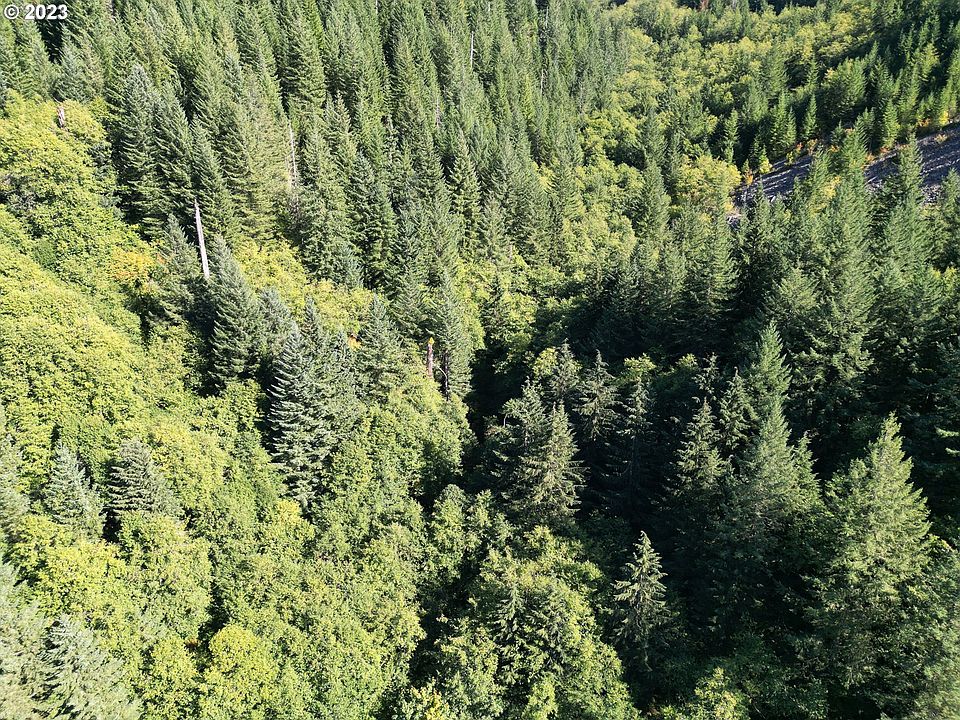 Skamania Mines Rd, Washougal, WA 98671 MLS 23206638 Zillow