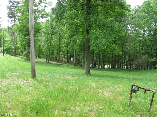 266 Big Painter Rd, Saint Marys, WV 26170