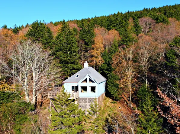391 N Westridge Rd, Slatyfork, WV 26291