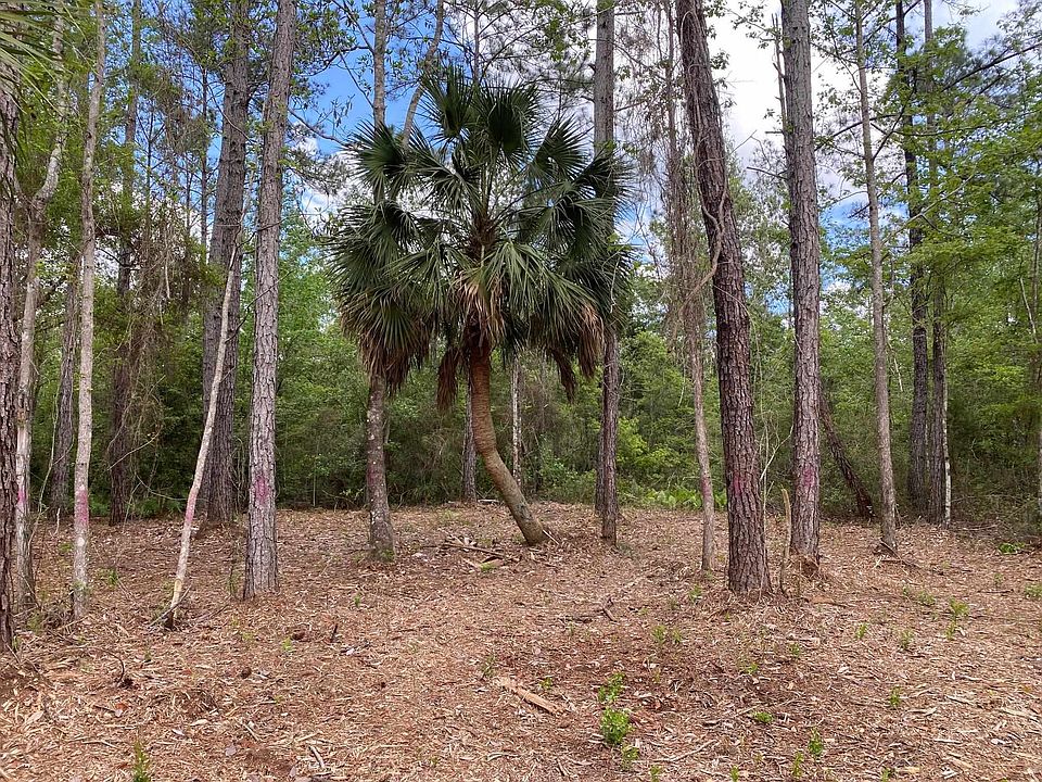 Boulder Run 0, Saint Marks, FL 32355 MLS 357516 Zillow