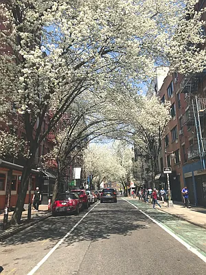 Rented by The Downtown LLC | media 25