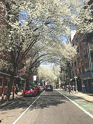 Rented by The Downtown LLC