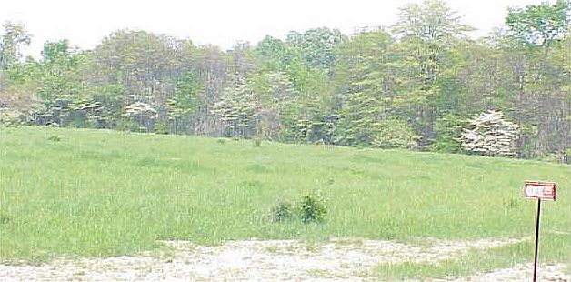 1st image of LOT 3 Quailwood Run Ln