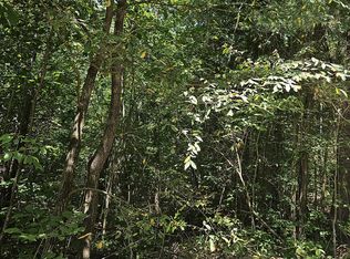 0 Black Mountain Rd, Hartford, TN 37753