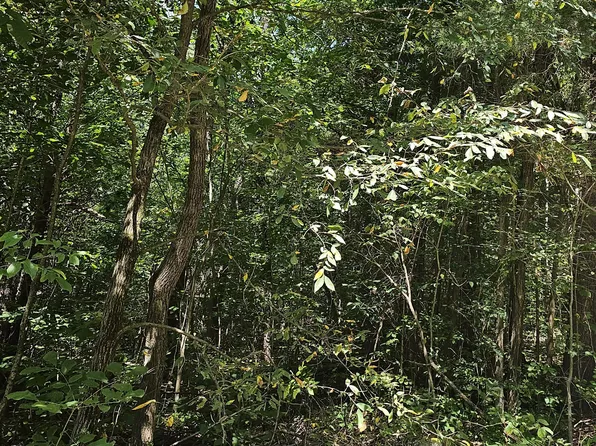 0 Black Mountain Rd, Hartford, TN 37753