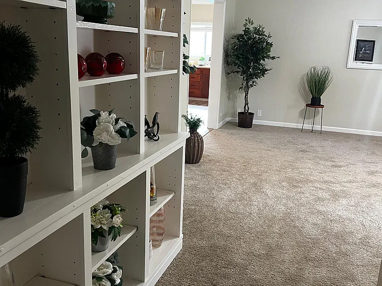 173 Fig Tree Ln — Photo 18