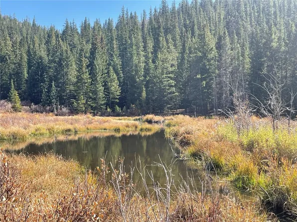 1924 County Road 872, Grant, CO 80448