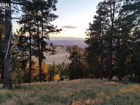 952 Penrose Cir, Cripple Creek, CO 80813