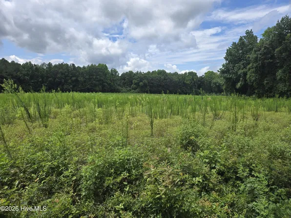 0 Ballard Road, Williamston, NC 27892