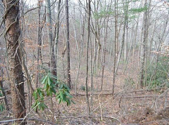 4th image of 99999 Black Bear Cove Dr