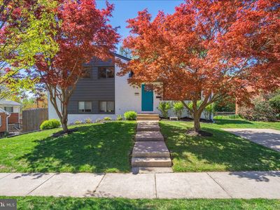 10302 Conover Dr, Silver Spring, MD, 20902