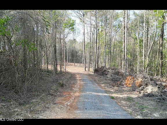 5th image of 1961 Alton Graham Rd