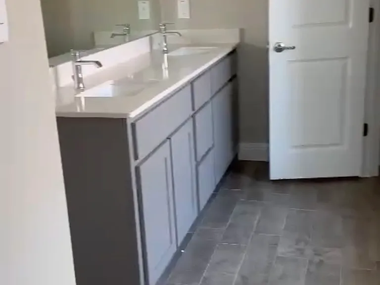 Master bathroom sinks