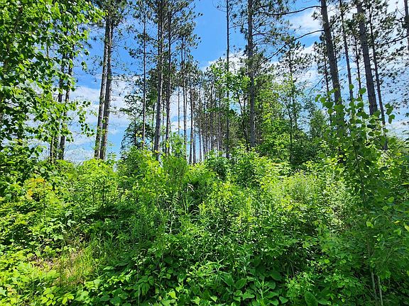 2nd image of 0 N Olson Rd