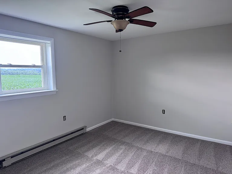 Basement den