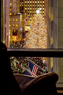 Rented by Douglas Elliman | media 8