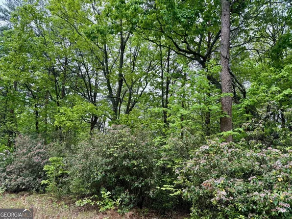 0 Snowdrift Pl, Cleveland, GA 30528