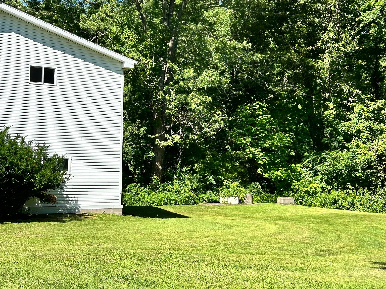 1 bed, $725 — Photo 3