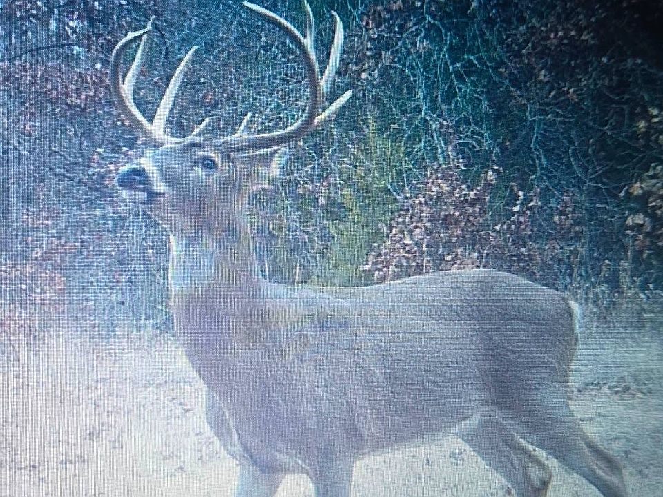 1st image of 1150 NE 95th Rd