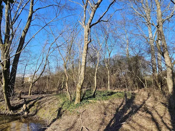 1 / Acre Alabama Hwy #227, Geraldine, AL 35974