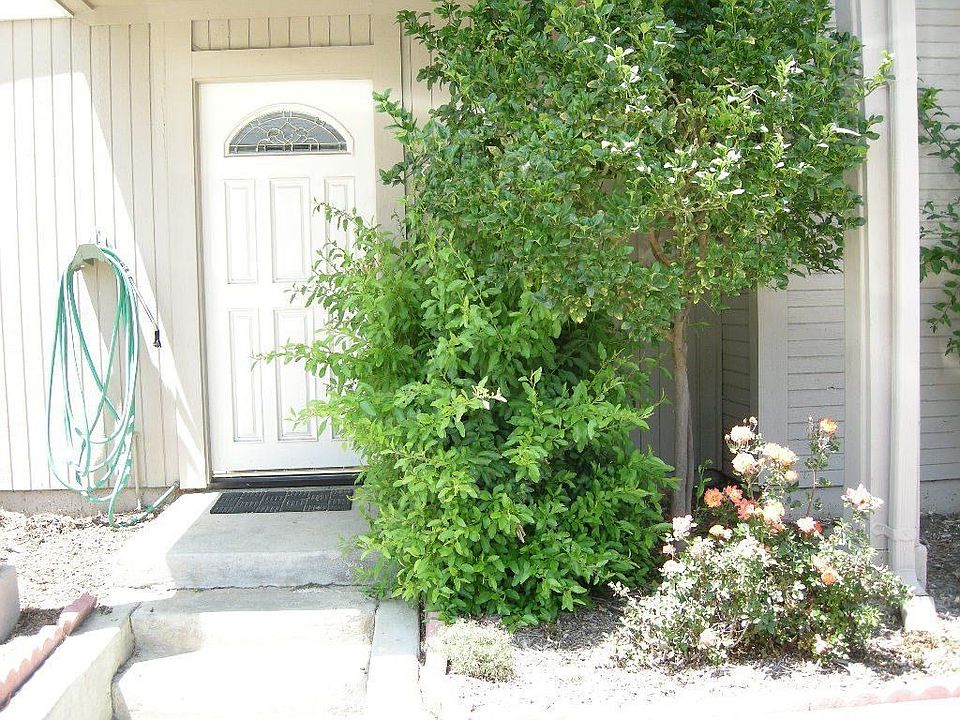 Front door of unit #6