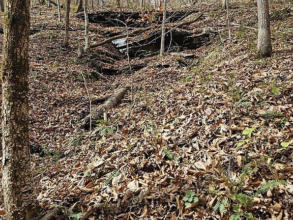 4th image of 7535 Modoc Rd