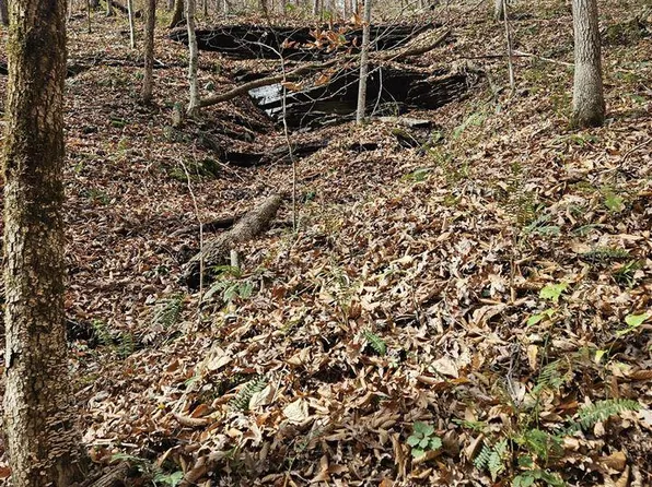 7535 Modoc Rd, Burkesville, KY 42717