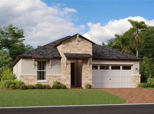 9810 Carabiner Way, Land O Lakes, FL 34637