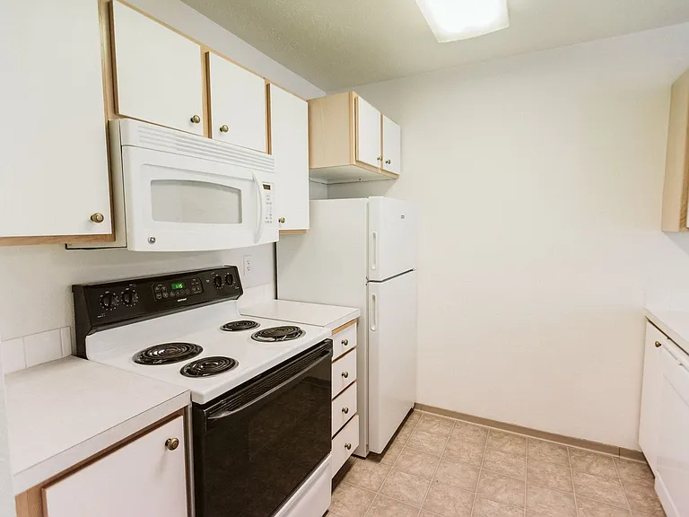 3025 S Cook St — Photo 4