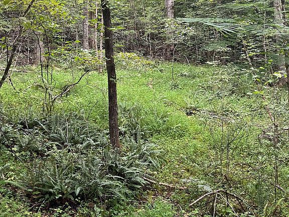 3rd image of 12 Kilpatrick Point Ln