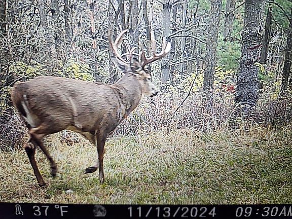 4th image of 890 South Independence Road