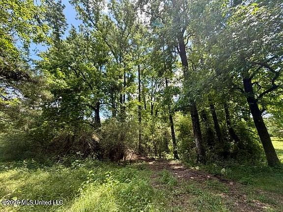 4th image of Oak Grove Rd