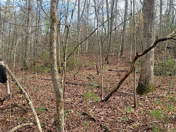5th image of 0 Rocky Point Lot 3