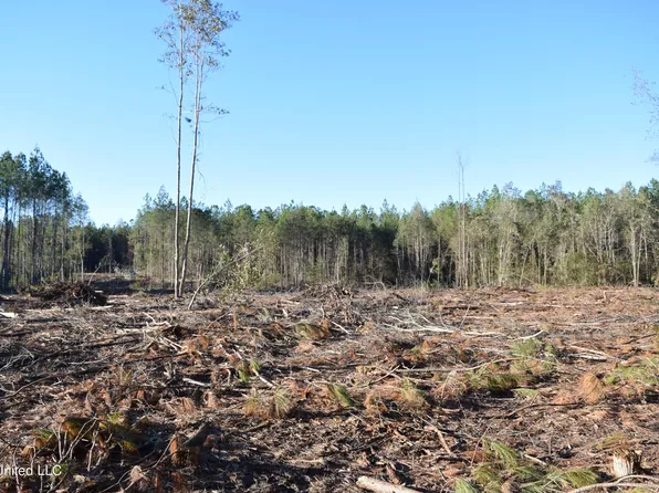 Corbit Blvd, Mc Lain, MS 39456