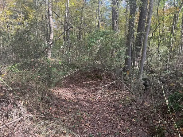 0 Fields School Rd, Mc Kenzie, TN 38201