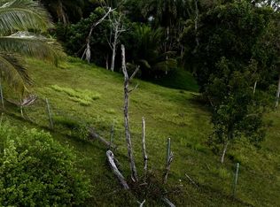 Urb Colinas De Cerro Gordo Calle 3 Solar #7, Bayamon, PR 00956
