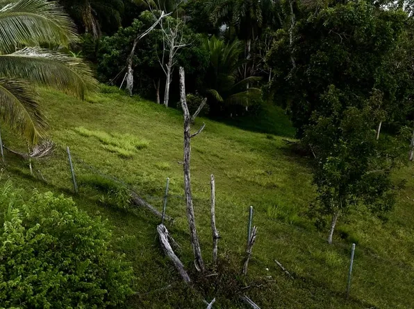 Urb Colinas De Cerro Gordo Calle 3 Solar #7, Bayamon, PR 00956