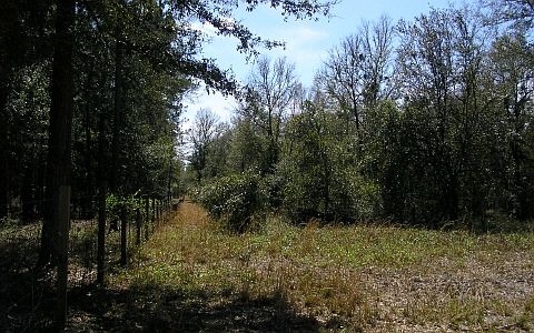 3rd image of 240 SW Smyrna Pl