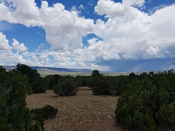 5th image of Camino De Silvestre