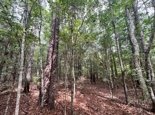 Bill Easterling Rd, Richton, MS 39476