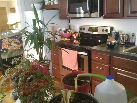 3rd image of 3982 Elm Ave Floor 2