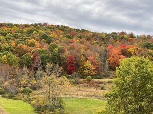 Lillibridge Rd, Portville, NY 14770