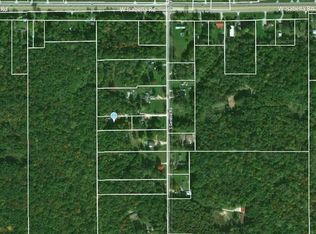 156 S Geneva Rd, Shepherd, MI 48883