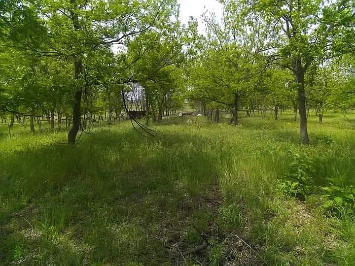1st image of 1209 County Road 416