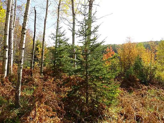 4th image of 320 Acres Moose Dr