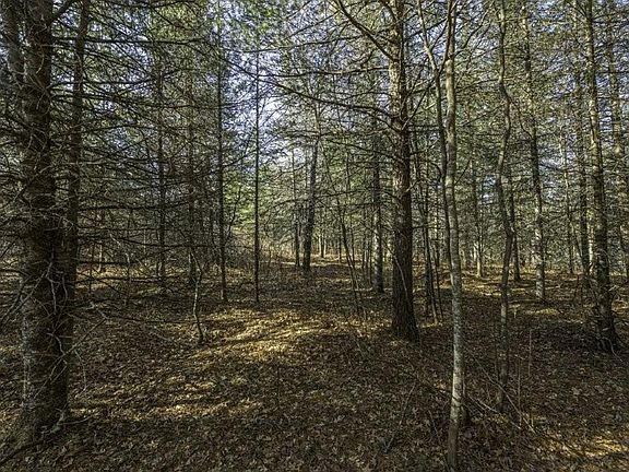 3rd image of LOT 8 Cth N #H