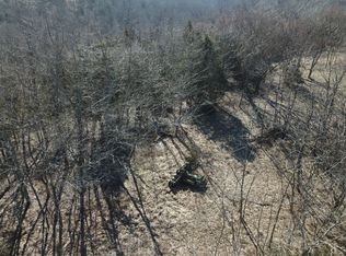 8297 Wildwood Trl, Kissimmee, FL 34747