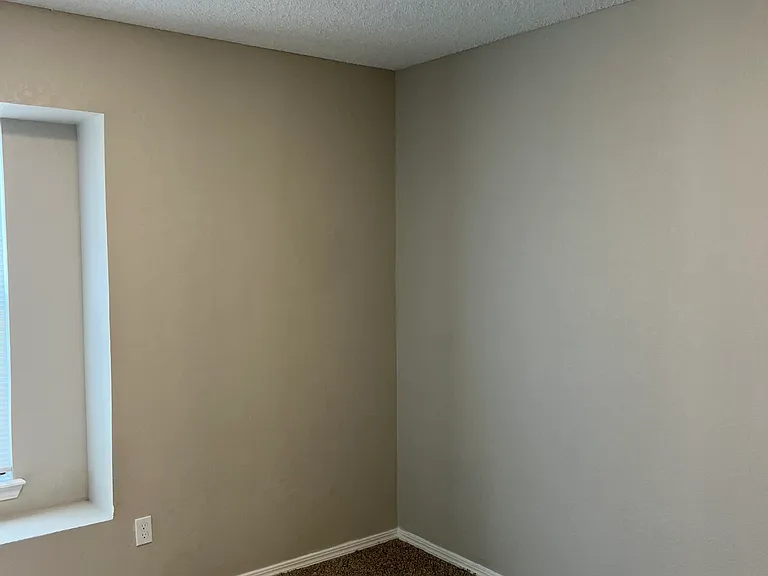 8113 Cinnamon Teal Dr — Photo 11